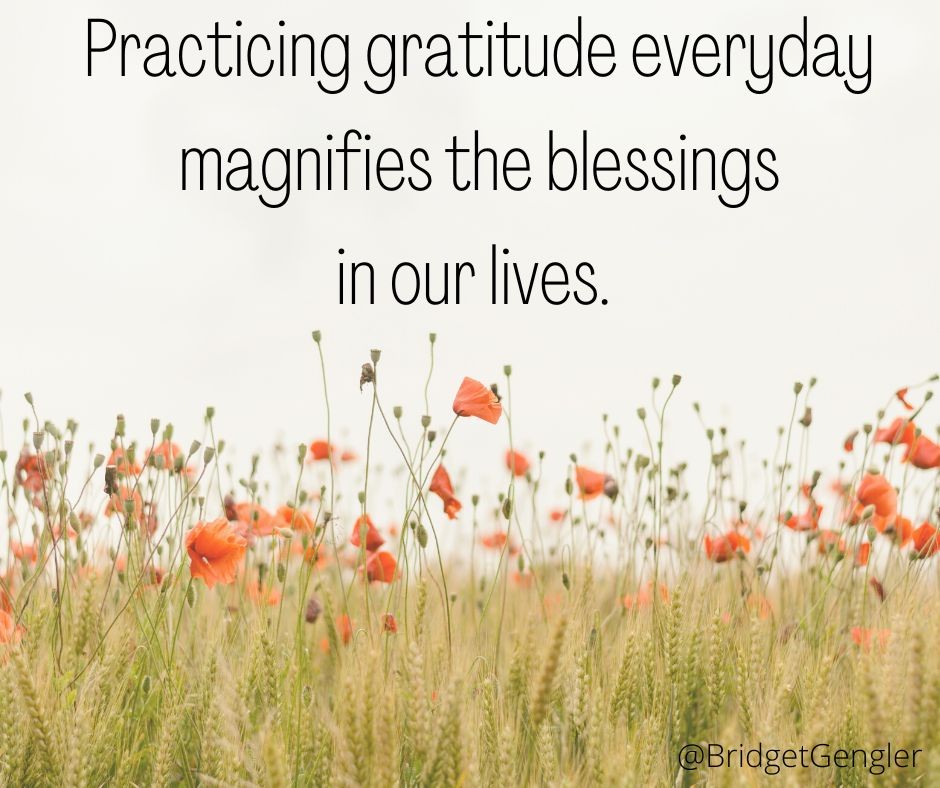 Practicing gratitude everyday magnifies the blessings in our lives.