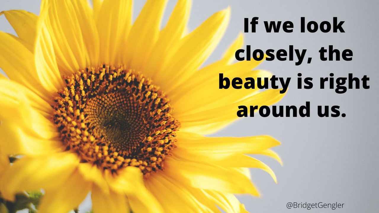 Pay attention to the beauty around you!