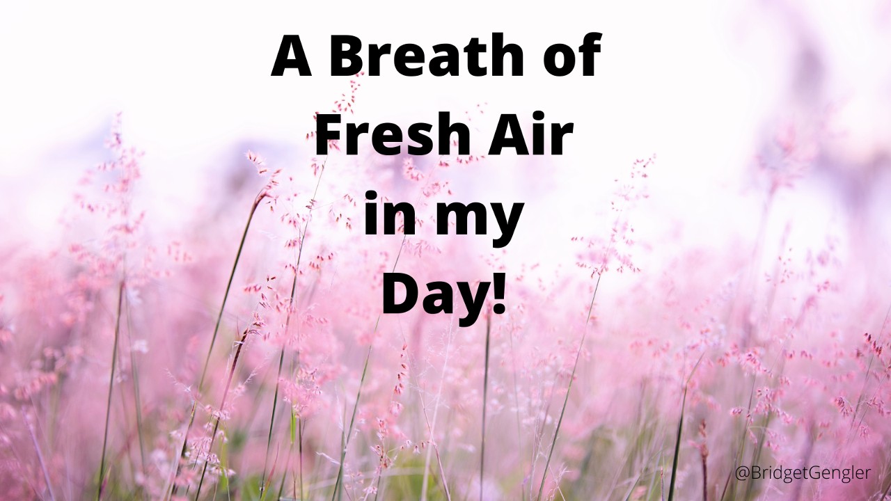 A Breath of Fresh Air in my Day!
